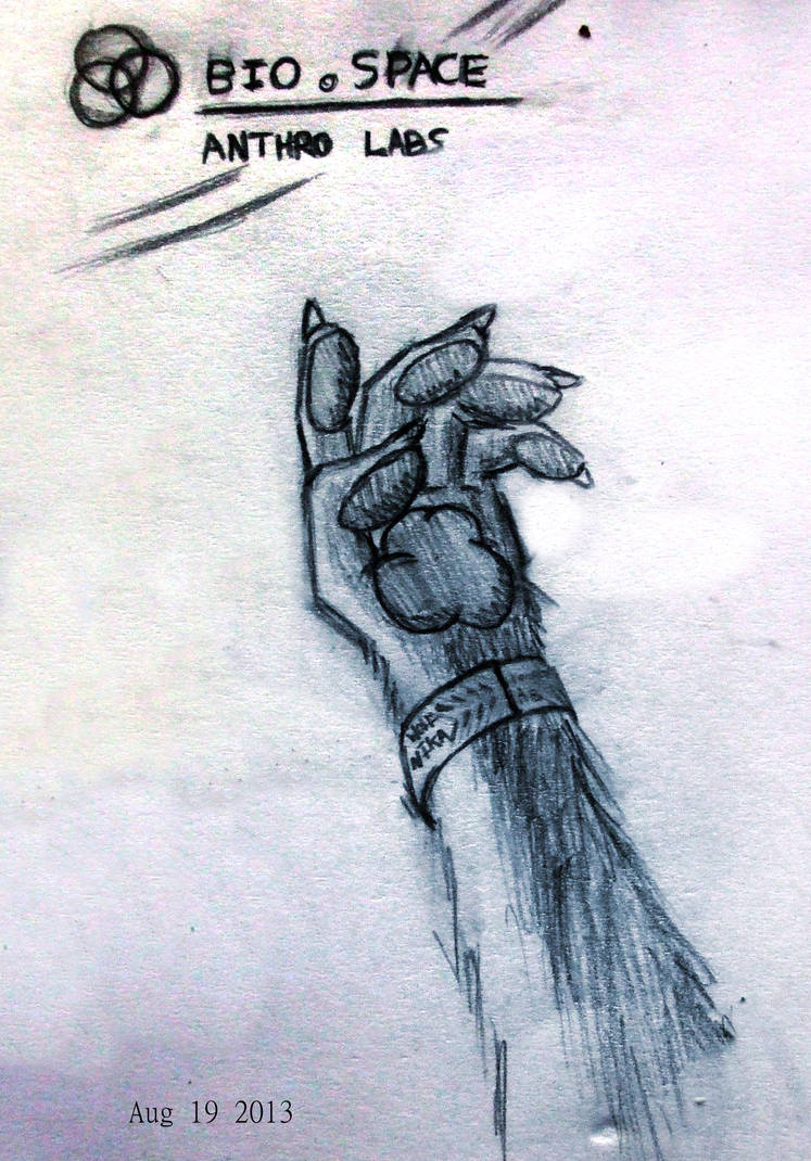 Hand Paw Sketch by Astra-Planetshine on DeviantArt
