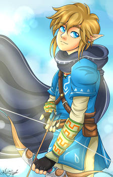 Link [Breath of the Wild]