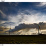 Upolu Point Wind Mills