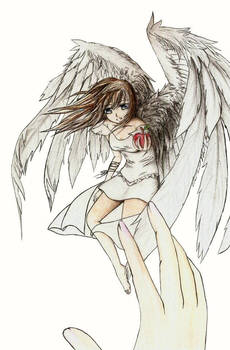 Fallen Angel