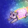 Nyan cat