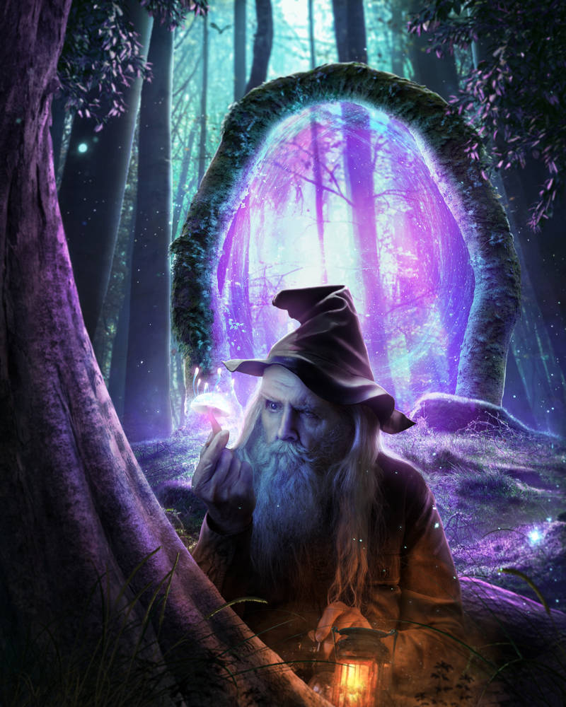 Wizard by dgrvisuals on DeviantArt