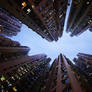 Vertical Horizon #107