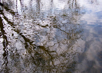 Watery Reflection