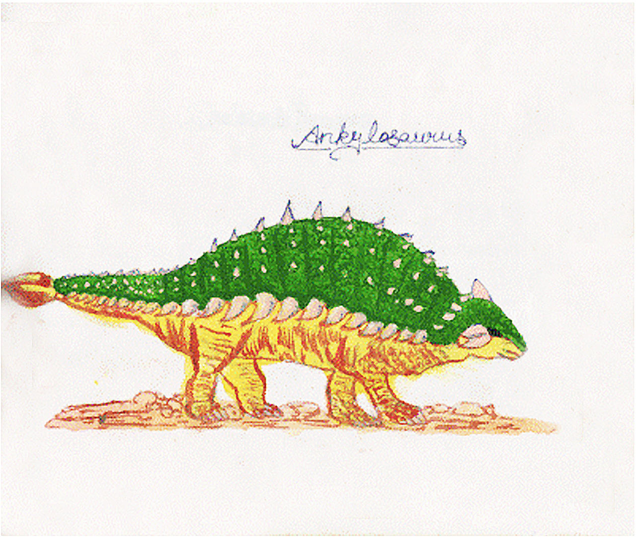 Ankylosaurus Dinosaur