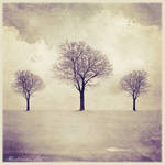 Fragile Winter by AbaddonArt