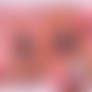 Lusion Sheet