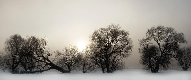 Breaking a Fog