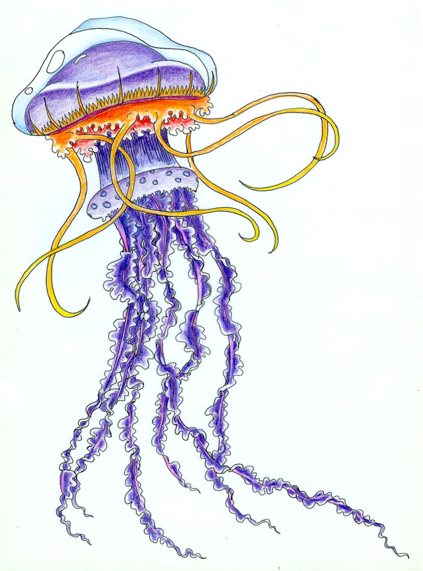 Man O War Jellyfish Tattoo