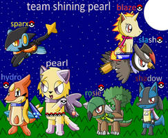 Pokemon Shining Pearl Team, Fully Evolved