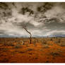 Savana