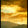 Gold landscape