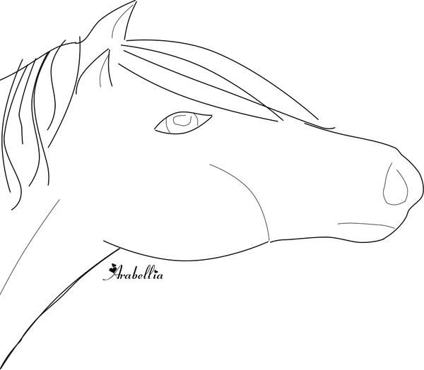 Horse Head lineart 1