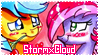 StormxCloud Stamp