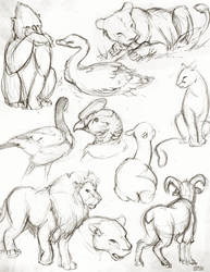 Zoo Sketches 2015-06-23