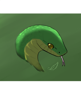 Snake