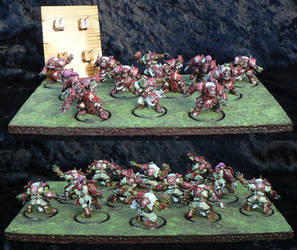 Bloodbowl orc team