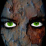 Stone Gazer