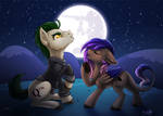 Duet by Moonlight by Skjolty