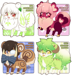 Paffuwa Batch 3 [CLOSED]