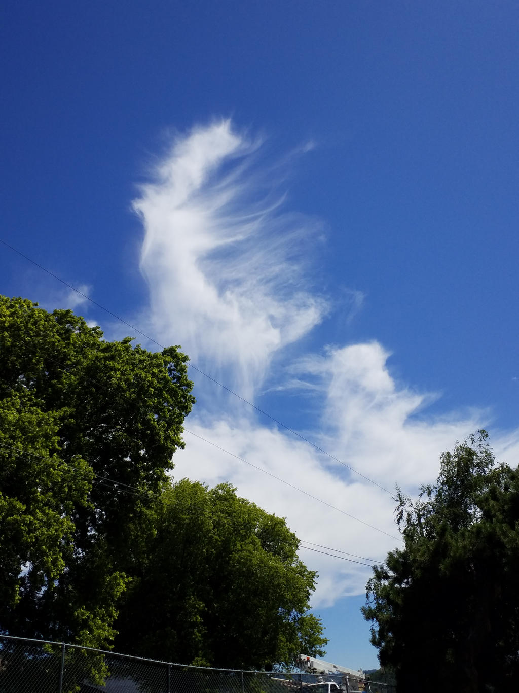 Dragon Cloud