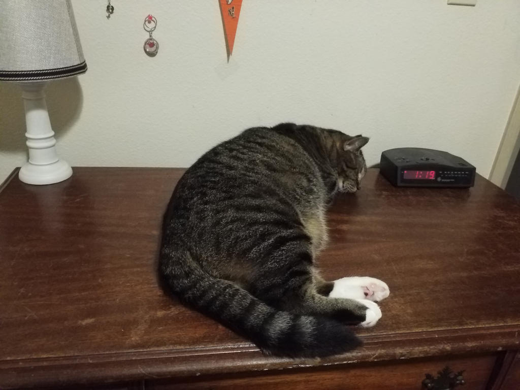 Desktop Sleeping Beauty