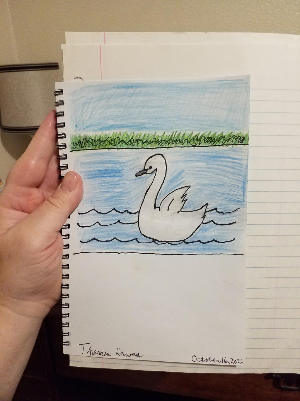 My Fowl Drawing