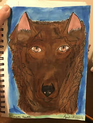 My Wolf Drawing