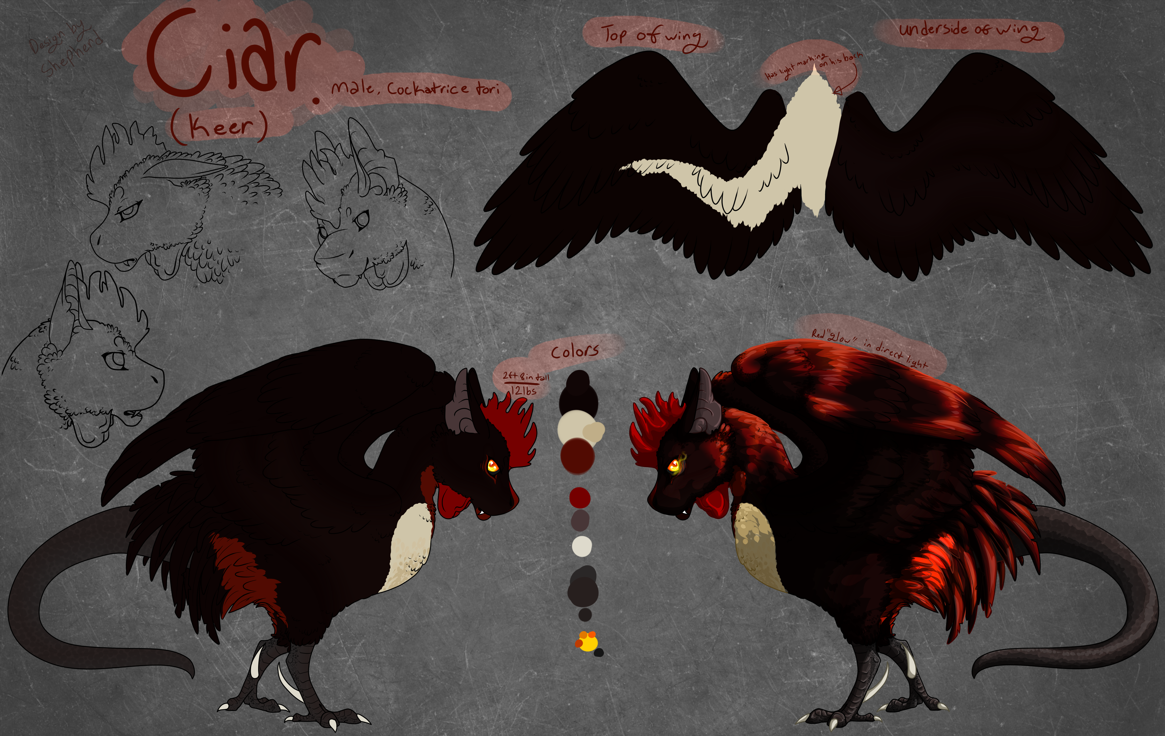 MYO Torimori: Ciar Refrence Sheet