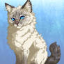 Leo Kitten
