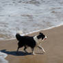 Beach XXX