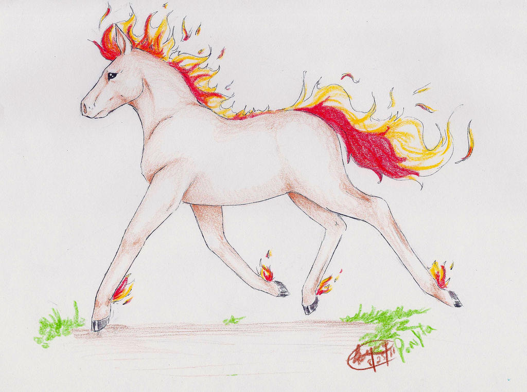 Ponyta