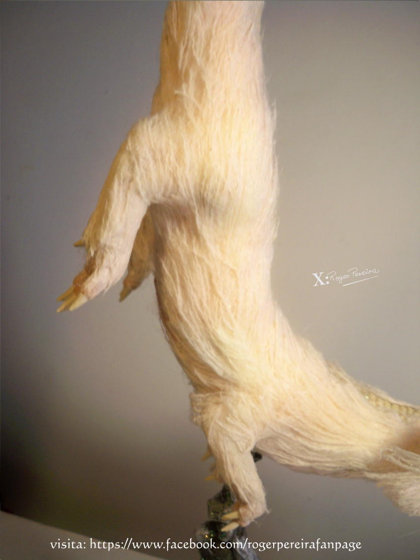 Falkor 3