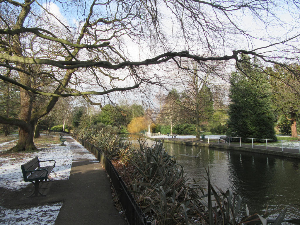 The Grove in Winter by Citysnaps on DeviantArt