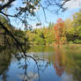 Westwood Lake