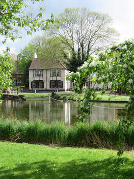 By the Pond