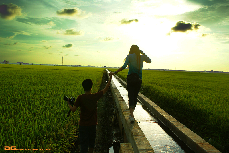 Sekinchan-landscape