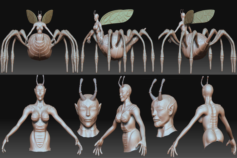 Lady Mutant Insect Female insect character wip 5 by Shinnwar on DeviantArt