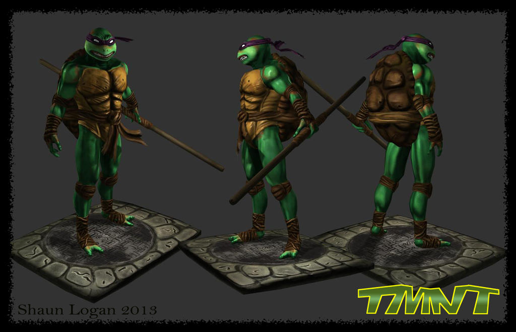 Turtle Final