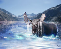 Arctic Moose