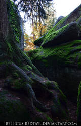 Roots and Rocks