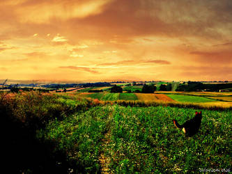 Village near Starachowice,Poland and Diego my dog