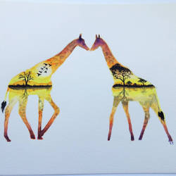 Double Exposure Two Giraffes