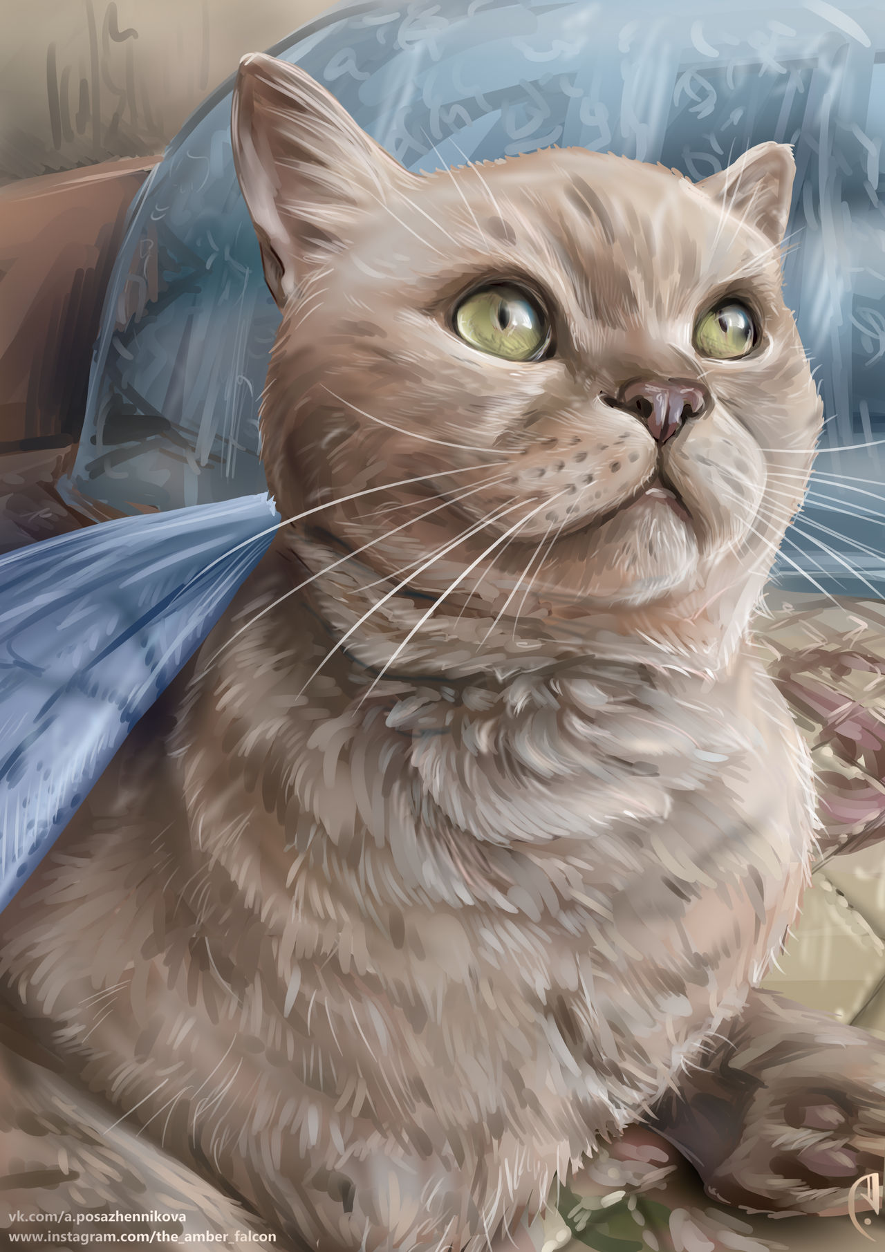 Cat :3 by TheAmberFalcon on DeviantArt