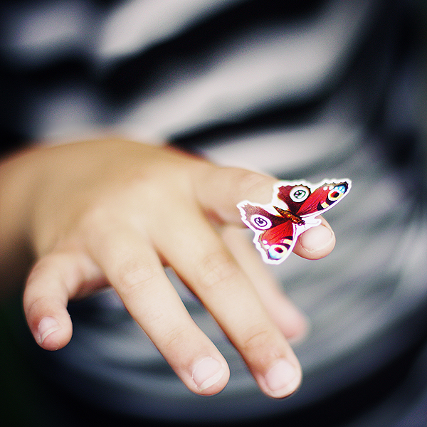 her butterfly summer.