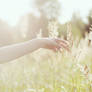 summer is..