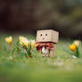 Danbo March Wallpaper.