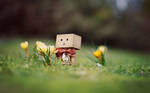 Danbo March Wallpaper. by gloeckchen