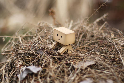 Danbo March Wallpaper II