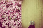 when I come home. by gloeckchen